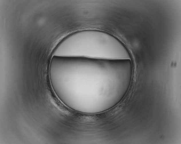 X0000114080107200910051010