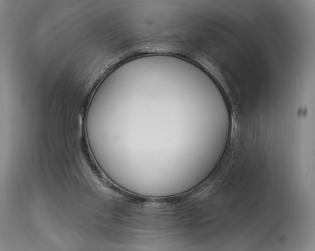 X0000114080109200910051010