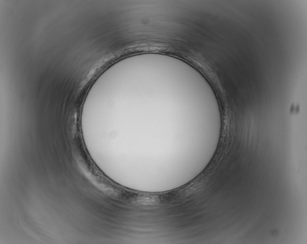 X0000114080110200910051010