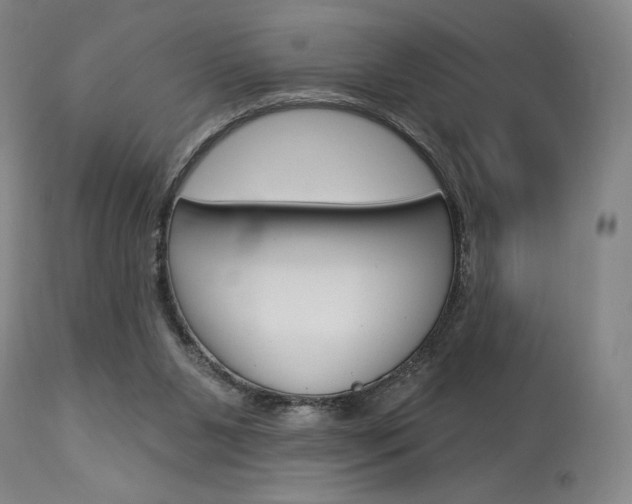 X0000114080111200910051010