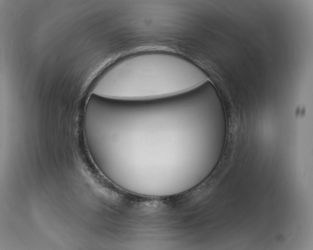 X0000114080112200910051010