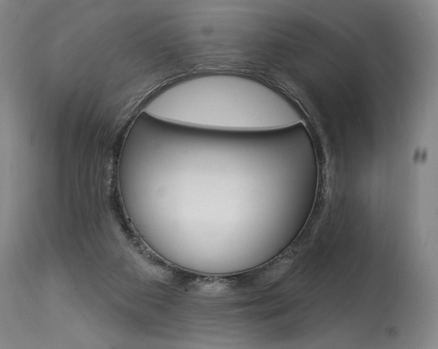 X0000114080113200910051010