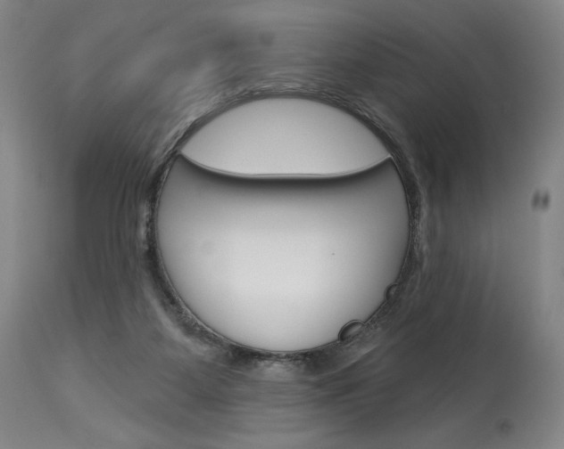 X0000114080115200910051010