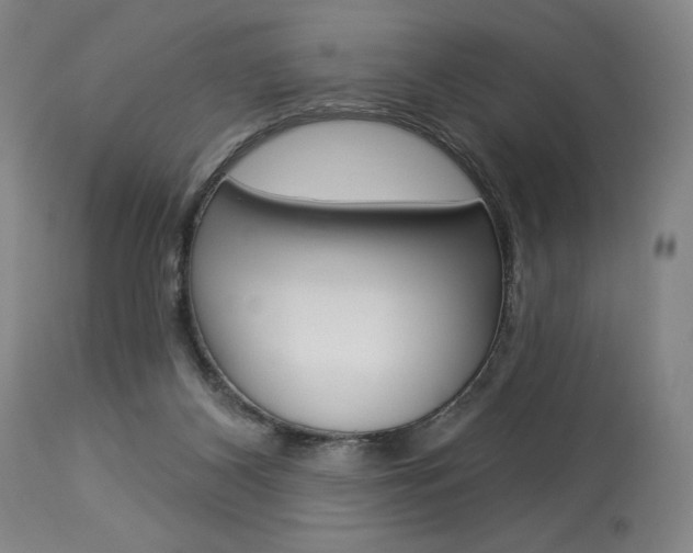 X0000114080116200910051010