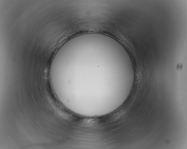 X0000114080117200910051010