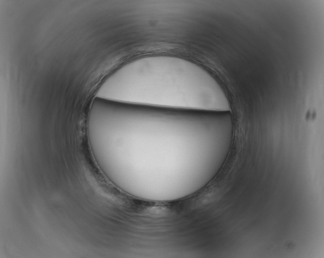 X0000114080119200910051010