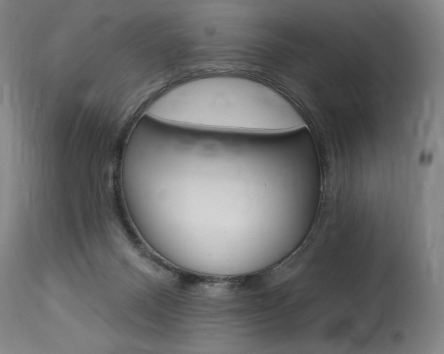 X0000114080120200910051010