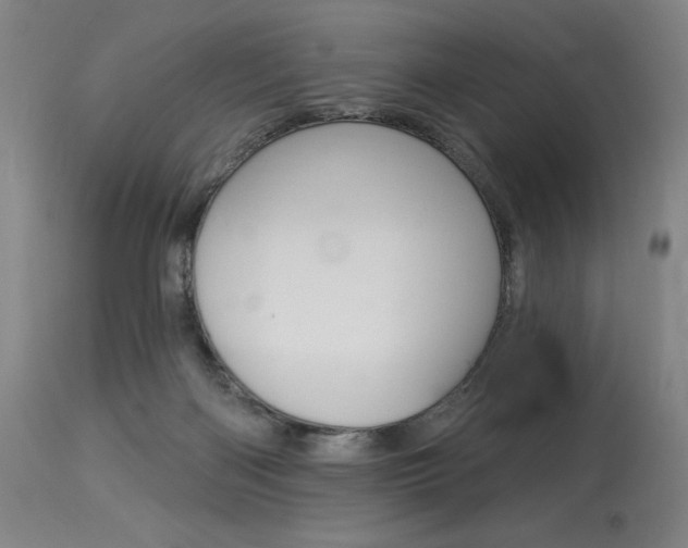 X0000114080122200910051010