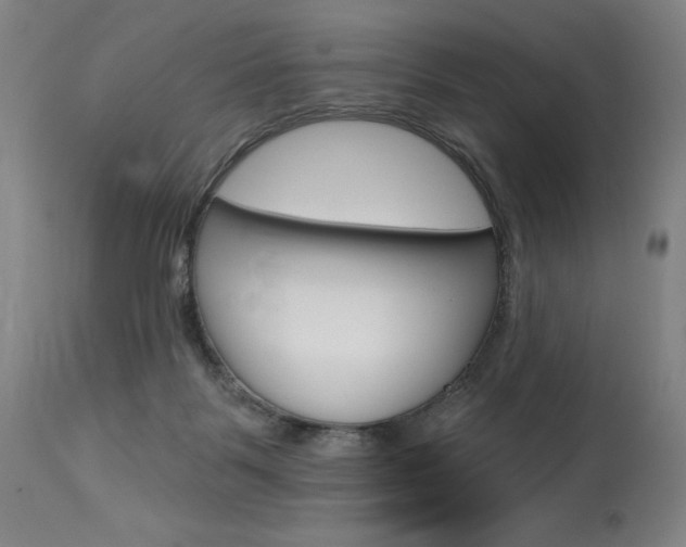 X0000114080123200910051010