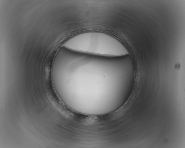 X0000114080124200910051010