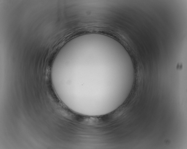 X0000114080125200910051010