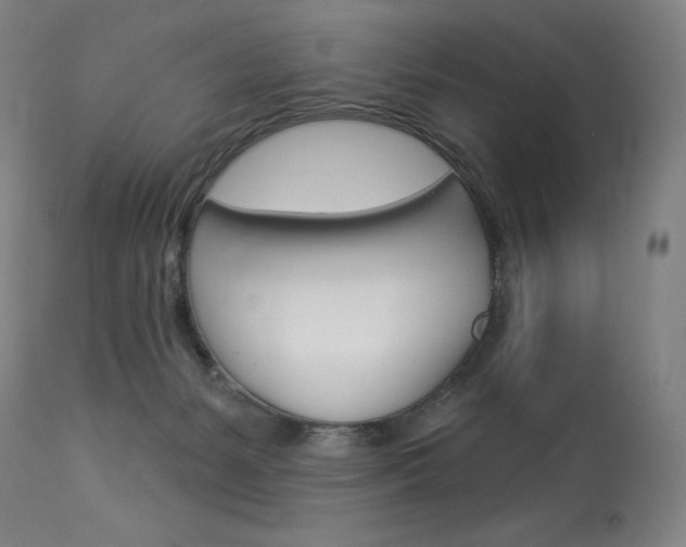 X0000114080127200910051010