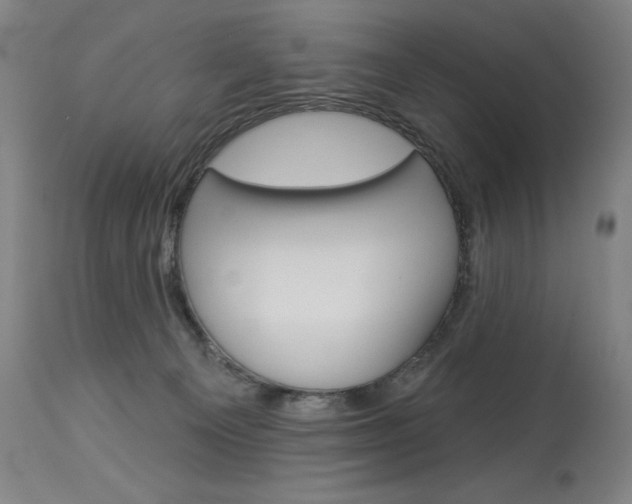 X0000114080129200910051010