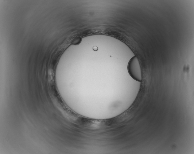 X0000114080130200910051010