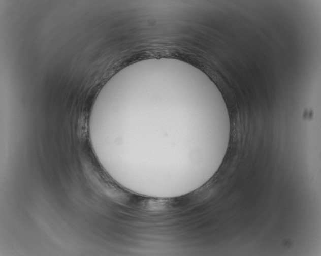 X0000114080134200910051010