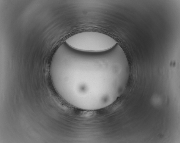 X0000114080135200910051010