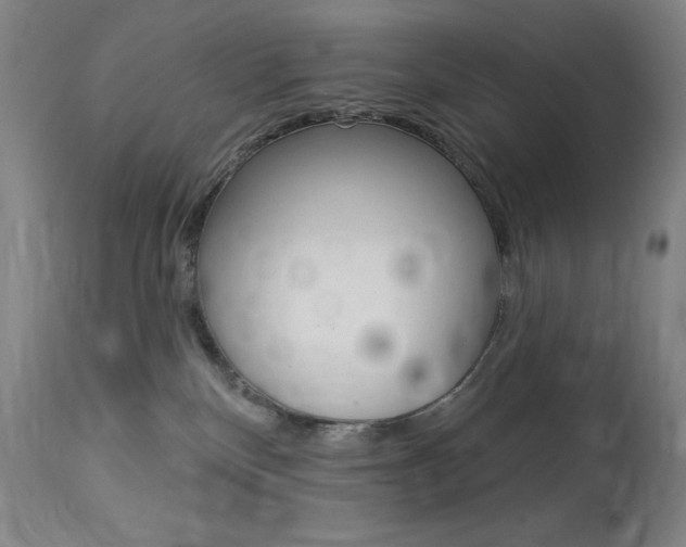 X0000114080136200910051010