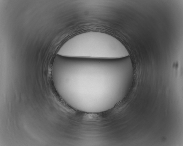 X0000114080137200910051010