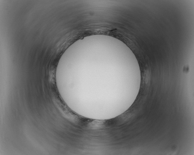 X0000114080138200910051010