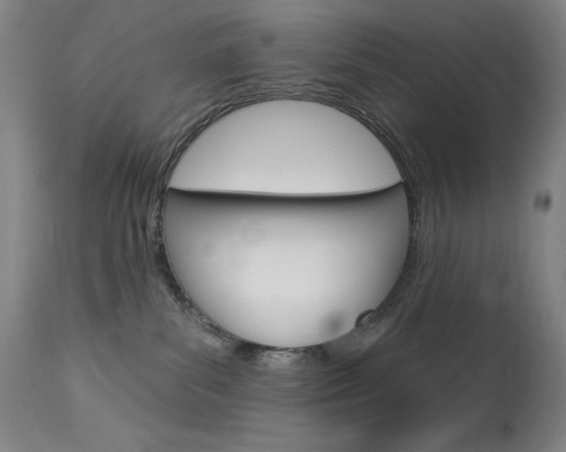 X0000114080139200910051010