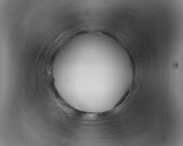 X0000114080140200910051010