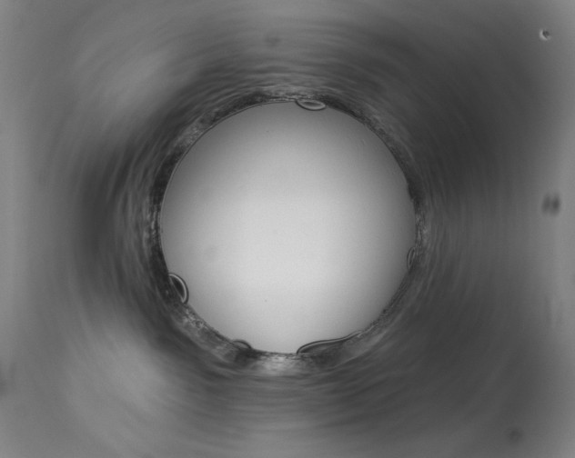 X0000114080141200910051010