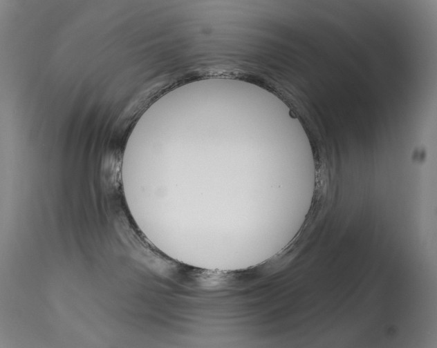 X0000114080142200910051010