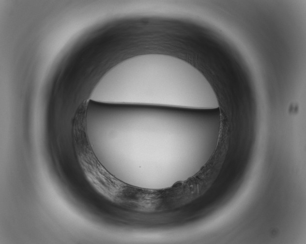 X0000114080143200910051010