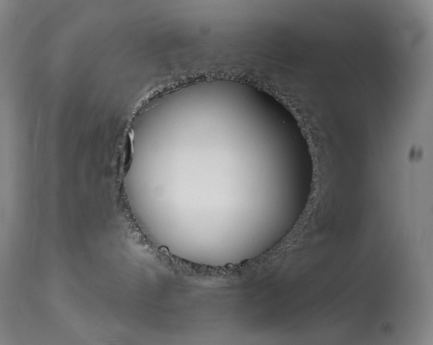 X0000114080144200910051010