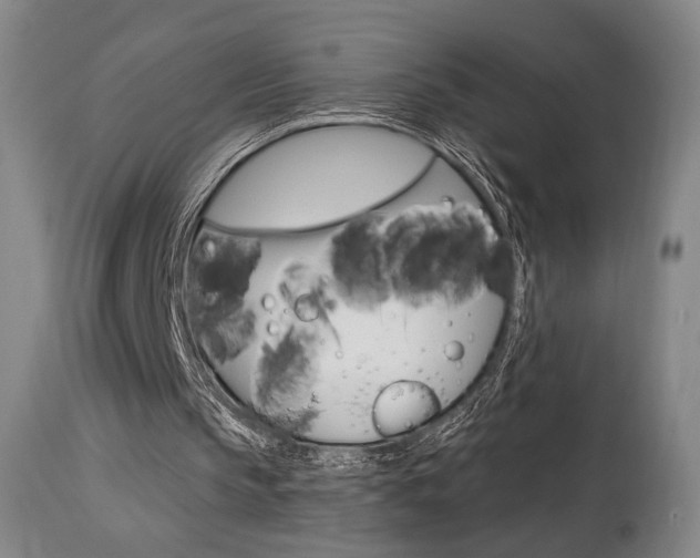 X0000114080145200910051009