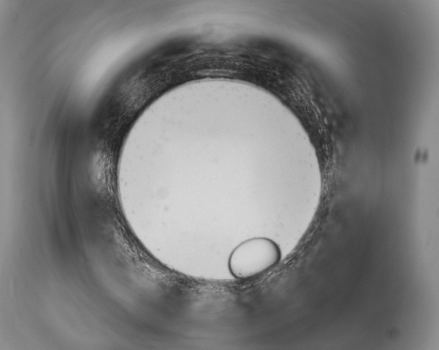 X0000114080146200910051009