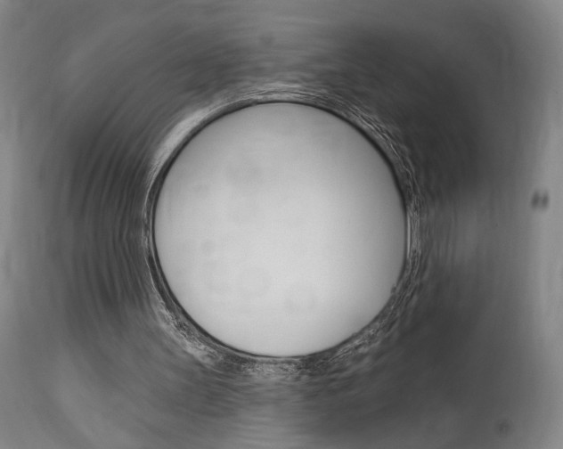 X0000114080147200910051009