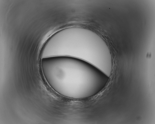 X0000114080150200910051009