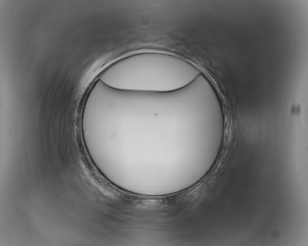 X0000114080151200910051009