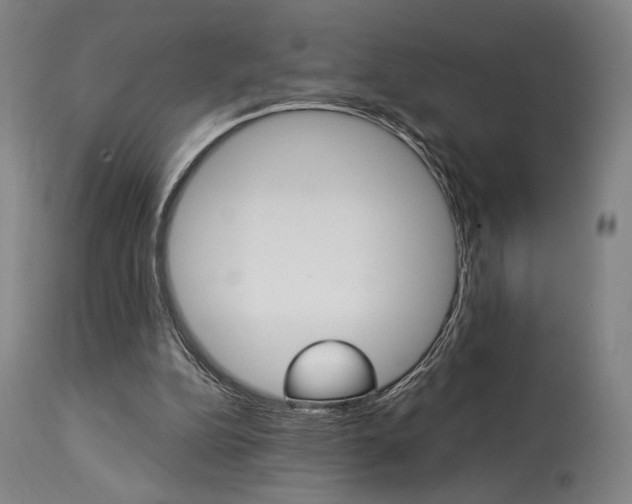 X0000114080152200910051009