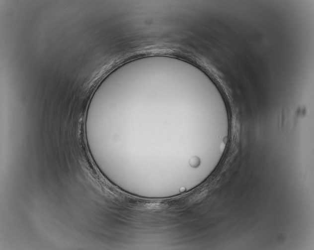 X0000114080153200910051009