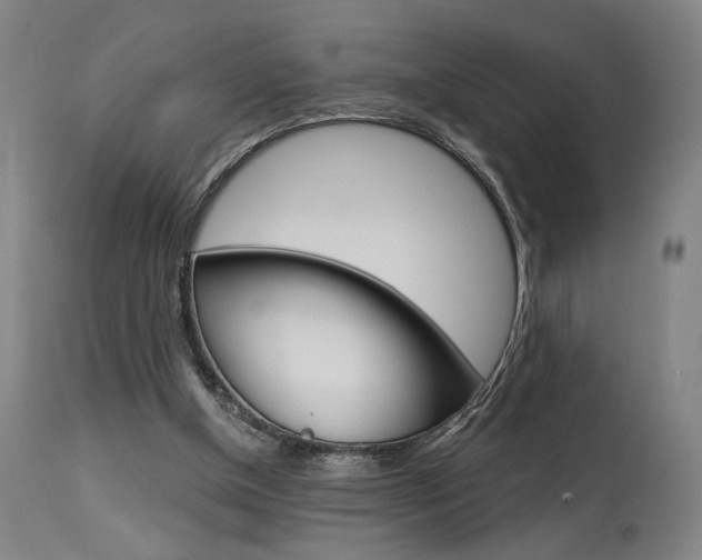 X0000114080154200910051009