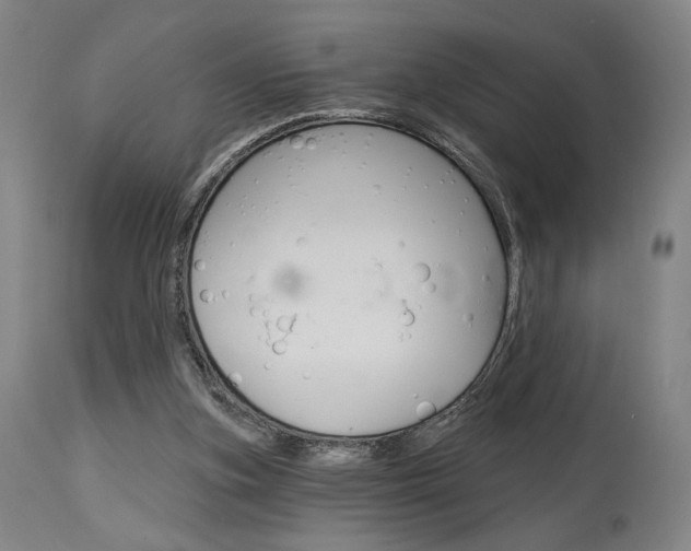 X0000114080155200910051009