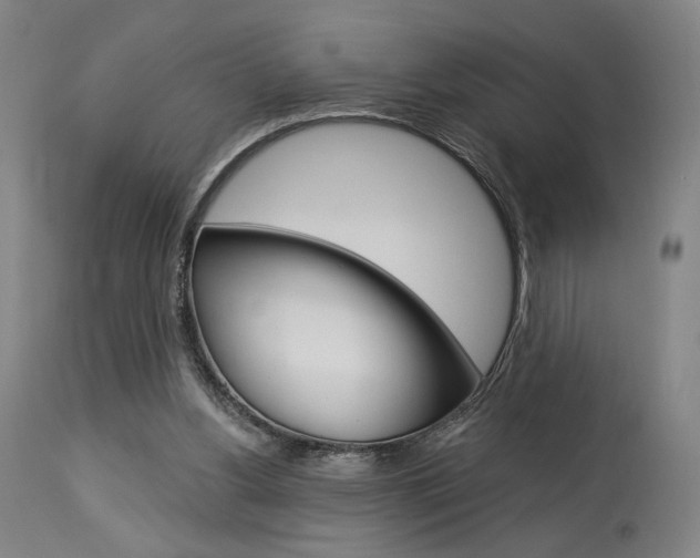 X0000114080156200910051009