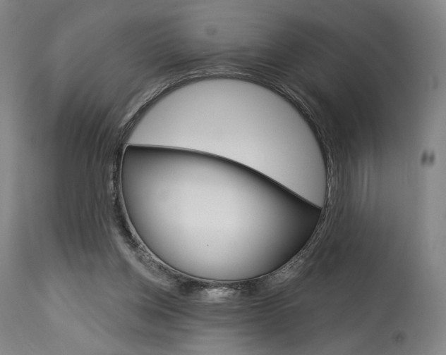 X0000114080158200910051009