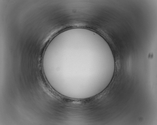 X0000114080159200910051009