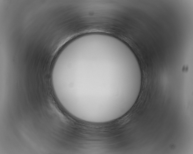 X0000114080160200910051009