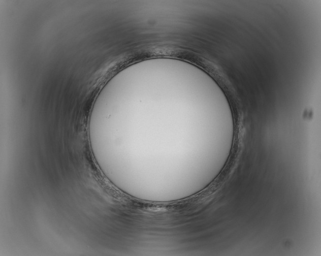 X0000114080161200910051009