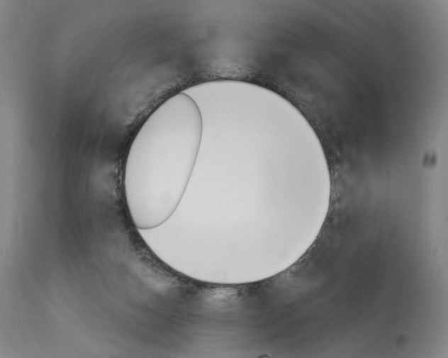 X0000114080162200910051009