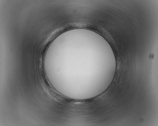 X0000114080163200910051009