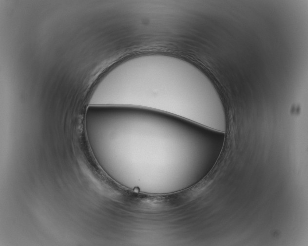 X0000114080164200910051009