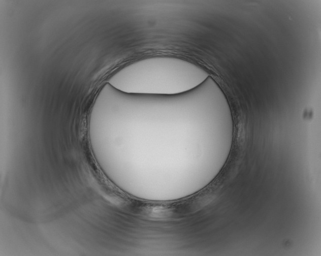 X0000114080165200910051009