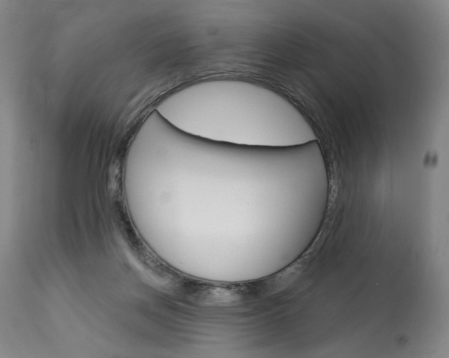 X0000114080166200910051009