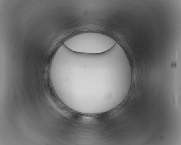 X0000114080167200910051009