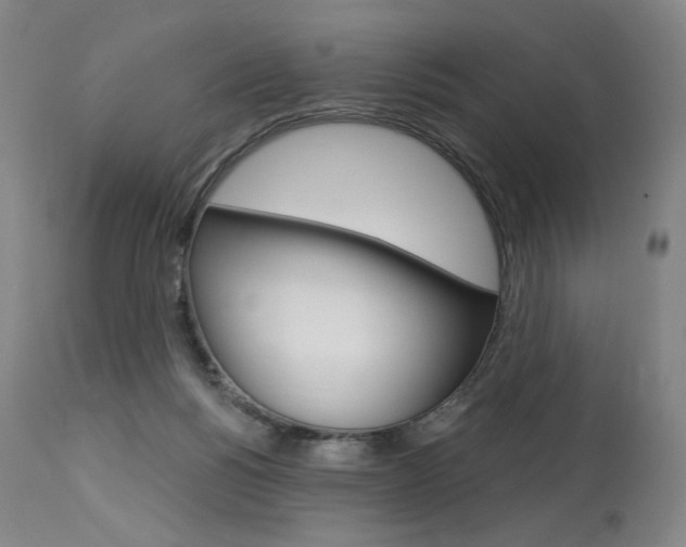 X0000114080168200910051009